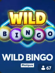 Wild Bingo BC Game Bahamas game cover