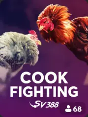Cock Fighting BC Game Bahamas game cover